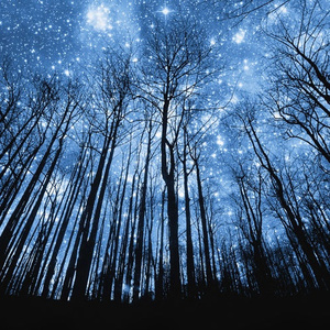 ღ᭄ꦿ꯭꯭🌈百🍀合ღ᭄
